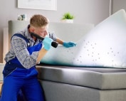 Discover the signs of a bed bug infestation in your Mesa, AZ home with Wave Pest Services. Call (480) 759-5700 for a professional inspection and treatment plan!