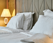 Find out how to prevent and manage bed bugs in hotels with Wave Pest Services. Call (480) 759-5700 for expert pest solutions to protect guest satisfaction.