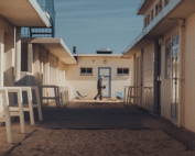 Discover effective methods for managing scorpions in resorts and creating a safe environment for your guests. Contact Wave Pest Services at (480) 759-5700 for tailored scorpion control solutions.